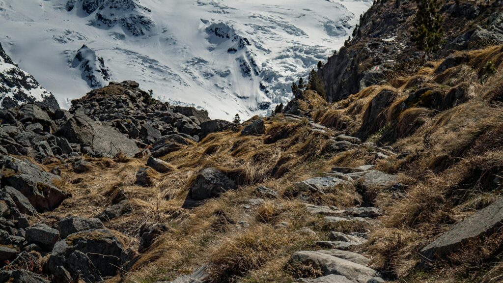 Steiniger Bergtrail in alpiner Felslandschaft