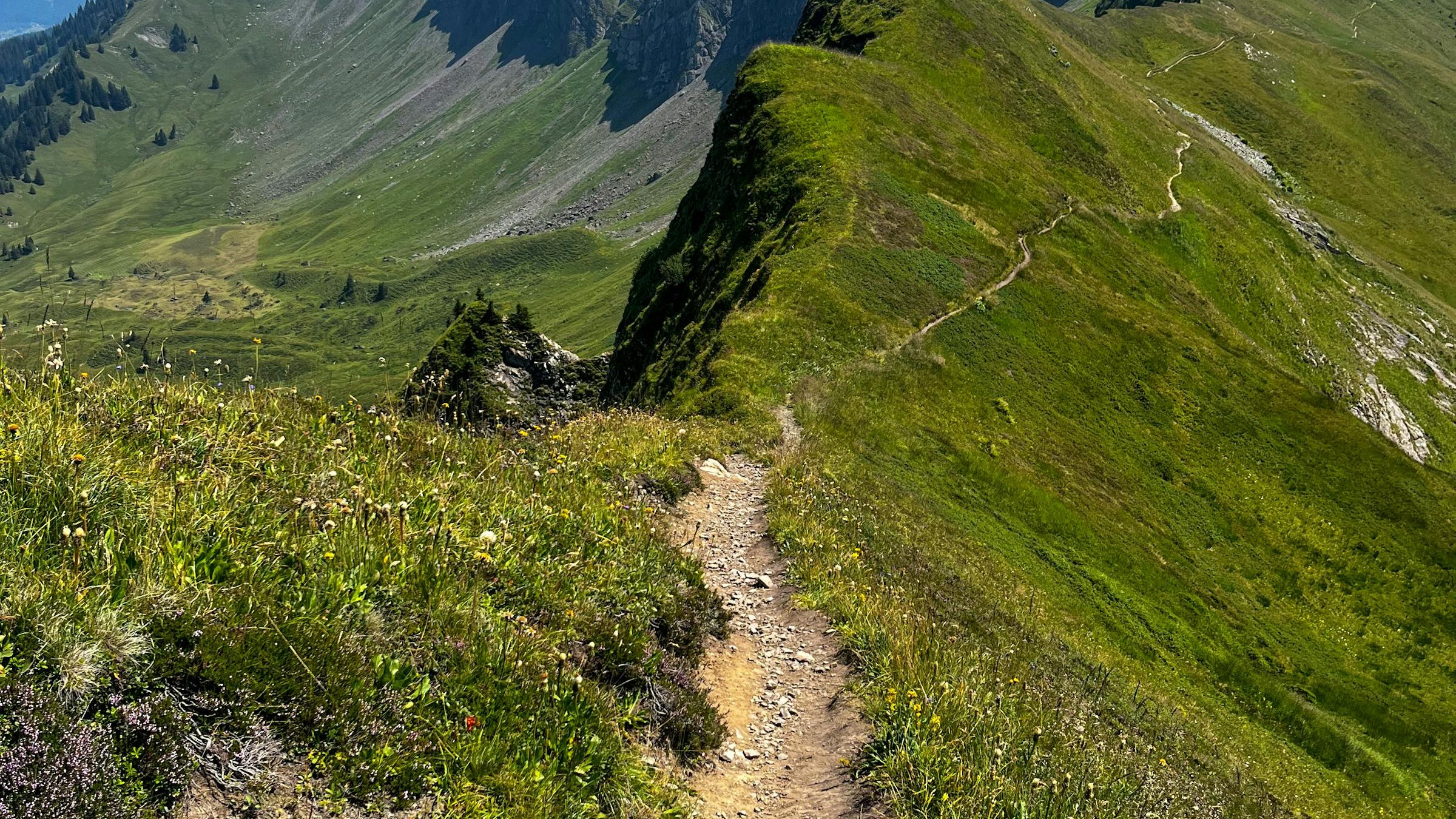 Empty alpine trail over a green mountain ridge
